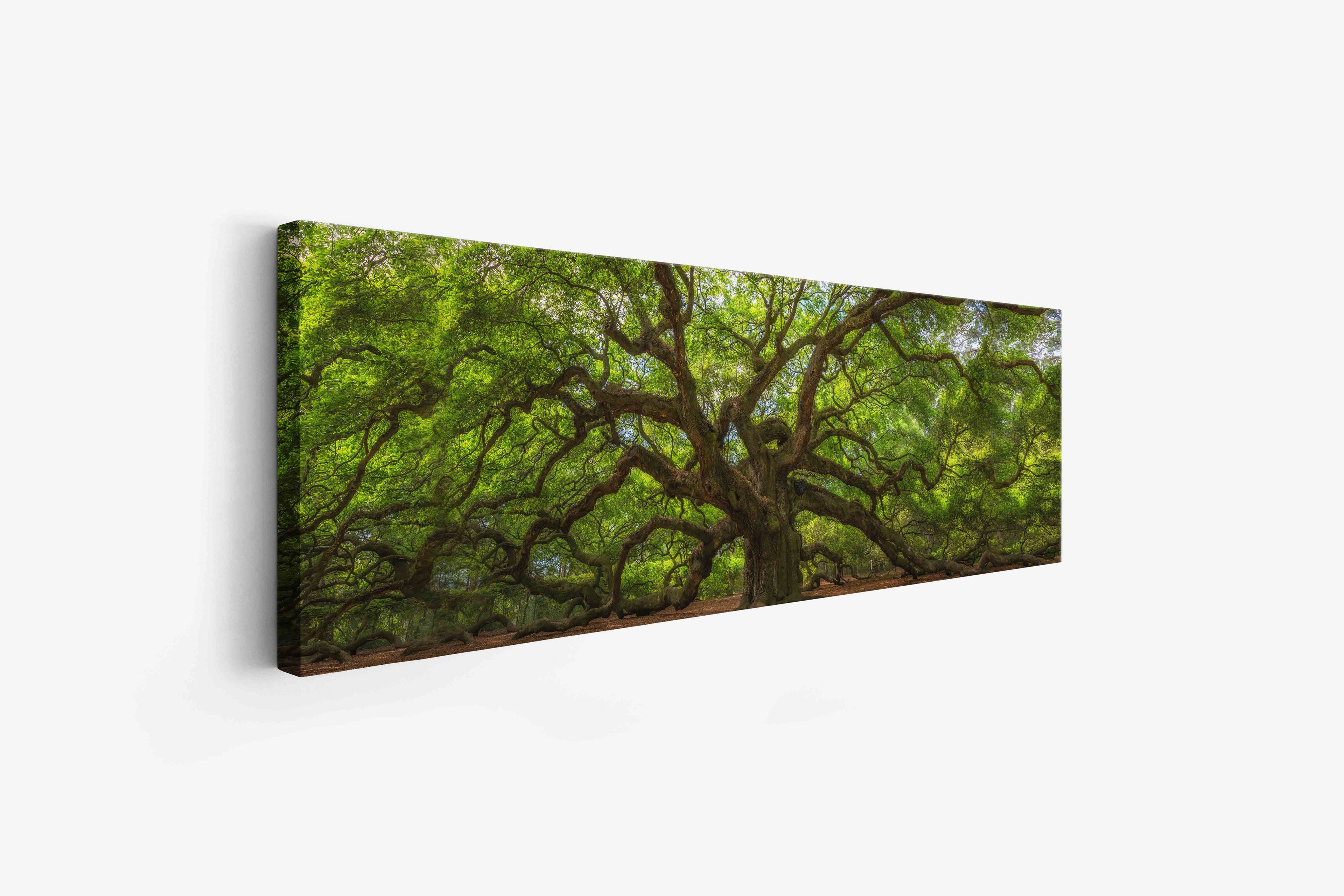 Angel Tree 72" x 24" Fine Art Canvas Print.