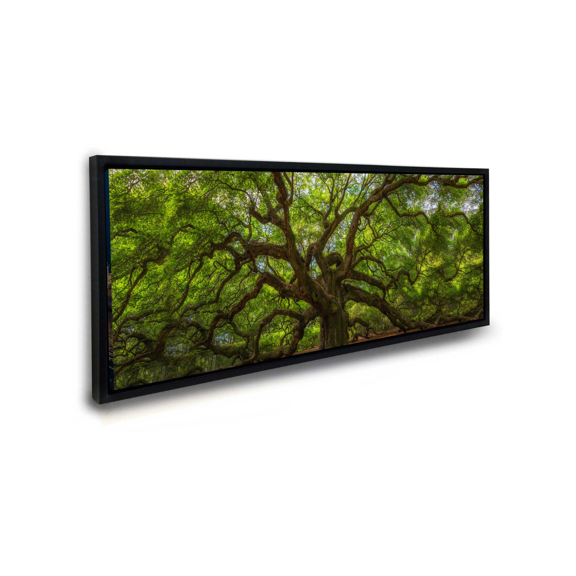 Angel Tree 72" x 24" Fine Art Canvas Print.